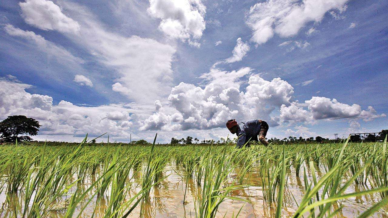 Agriculture