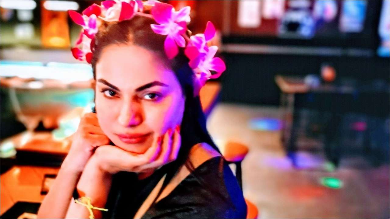 Veena Malik shot to fame after Bigg Boss 4