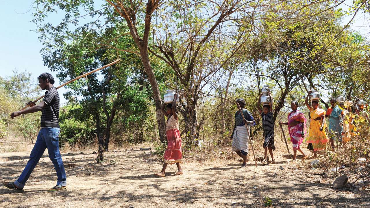 Tribals