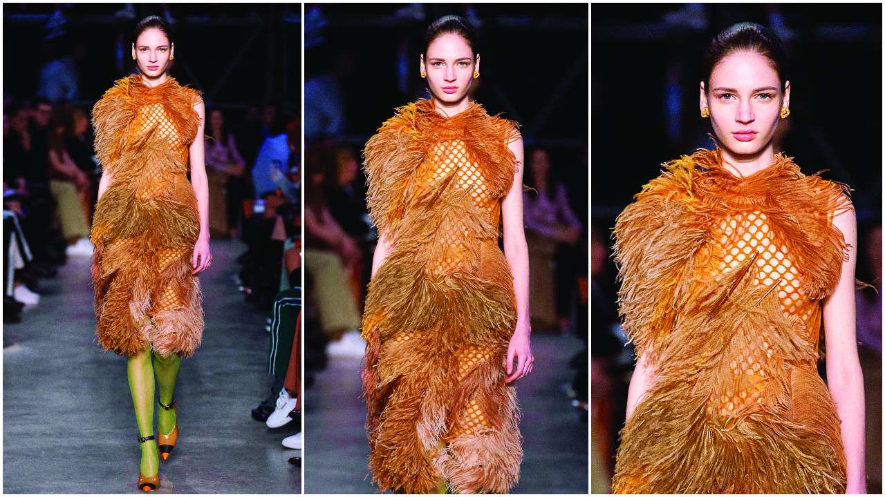 Are feathers the new sequins?