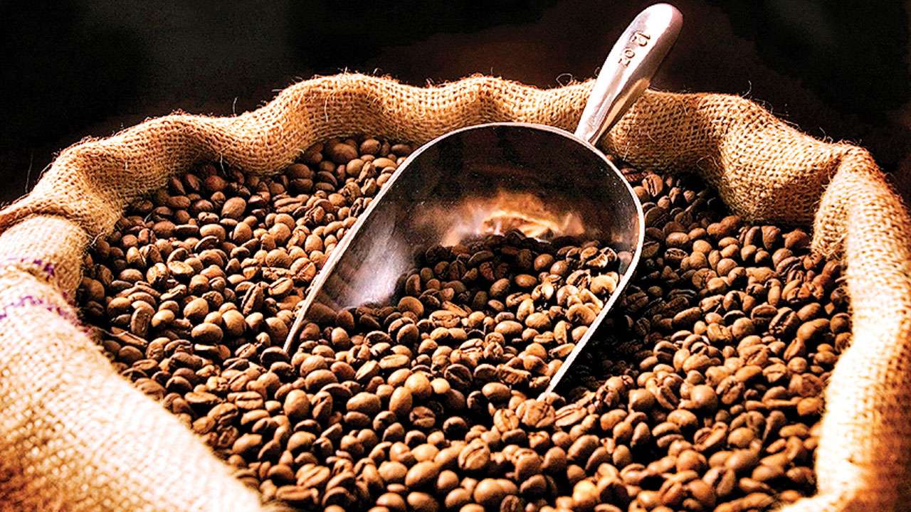 India's coffee exports rise 13% in Jan-Feb 2019