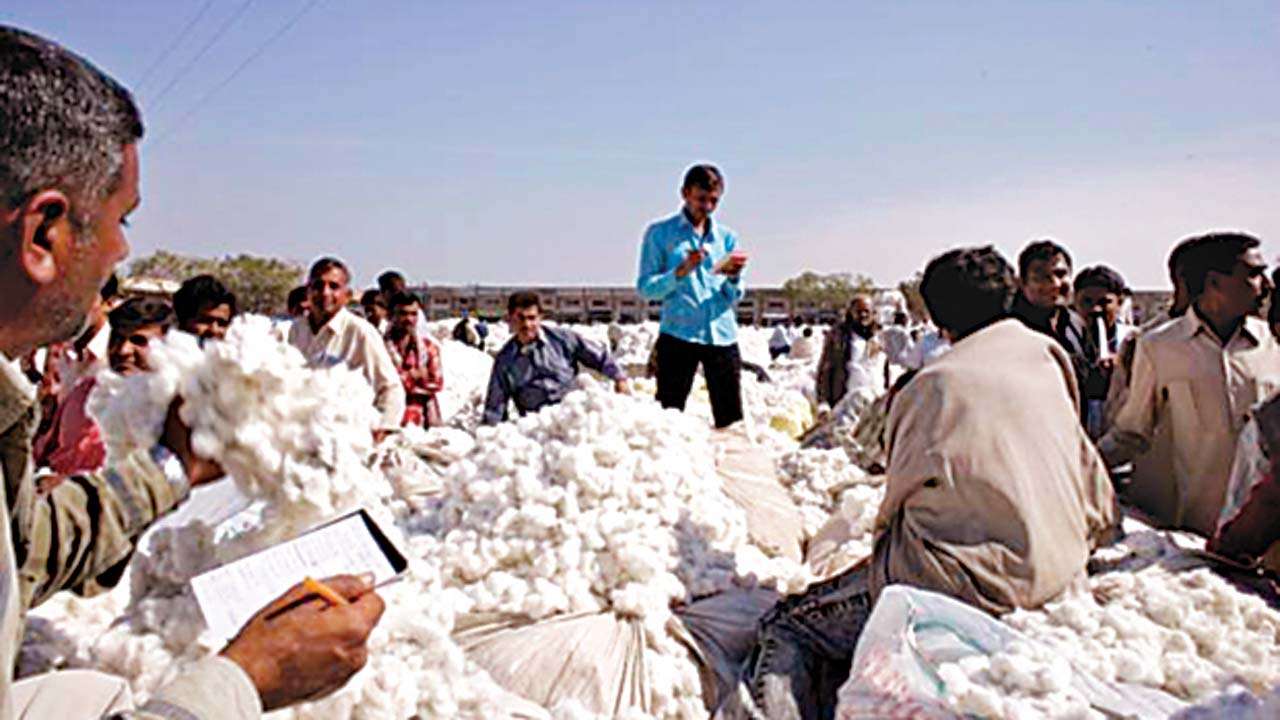 China 'bales' out cotton farmers from Pak woes