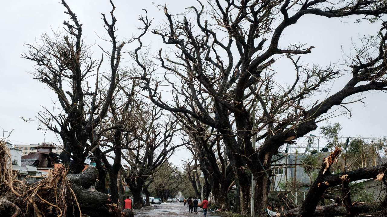 (Cyclone Idai) 