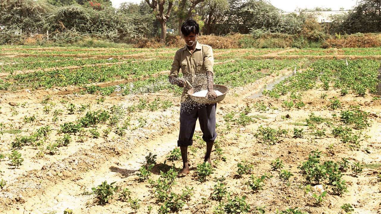 Farmer