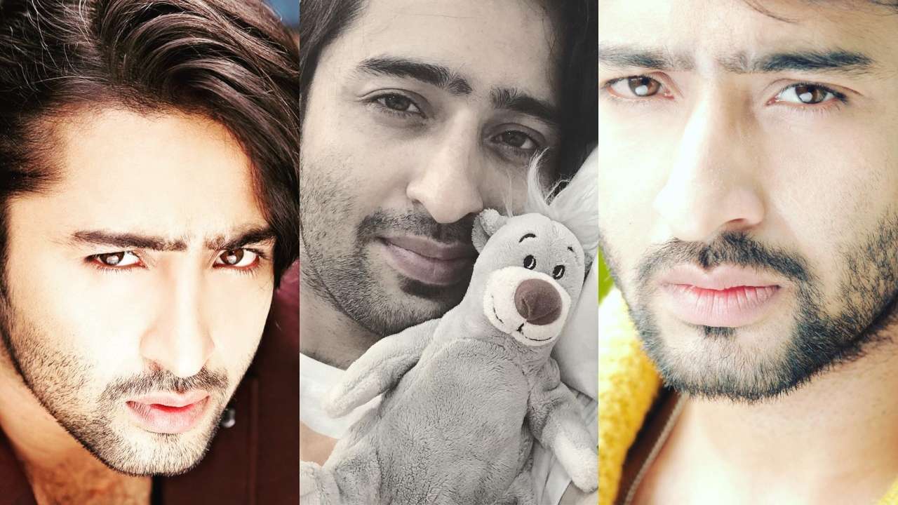 Happy Birthday Shaheer Sheikh These 5 Drool Worthy Photos Of The Tv Actor Is All The Tuesday 
