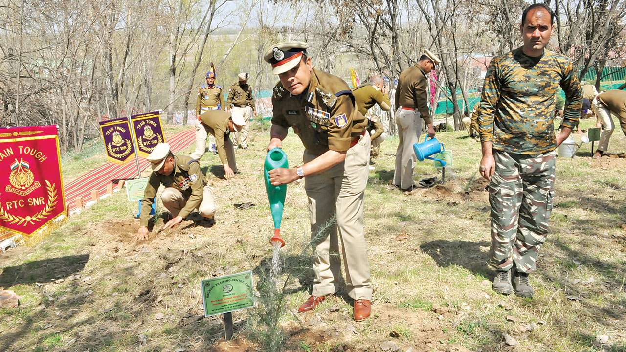 Pulwama tree plantation