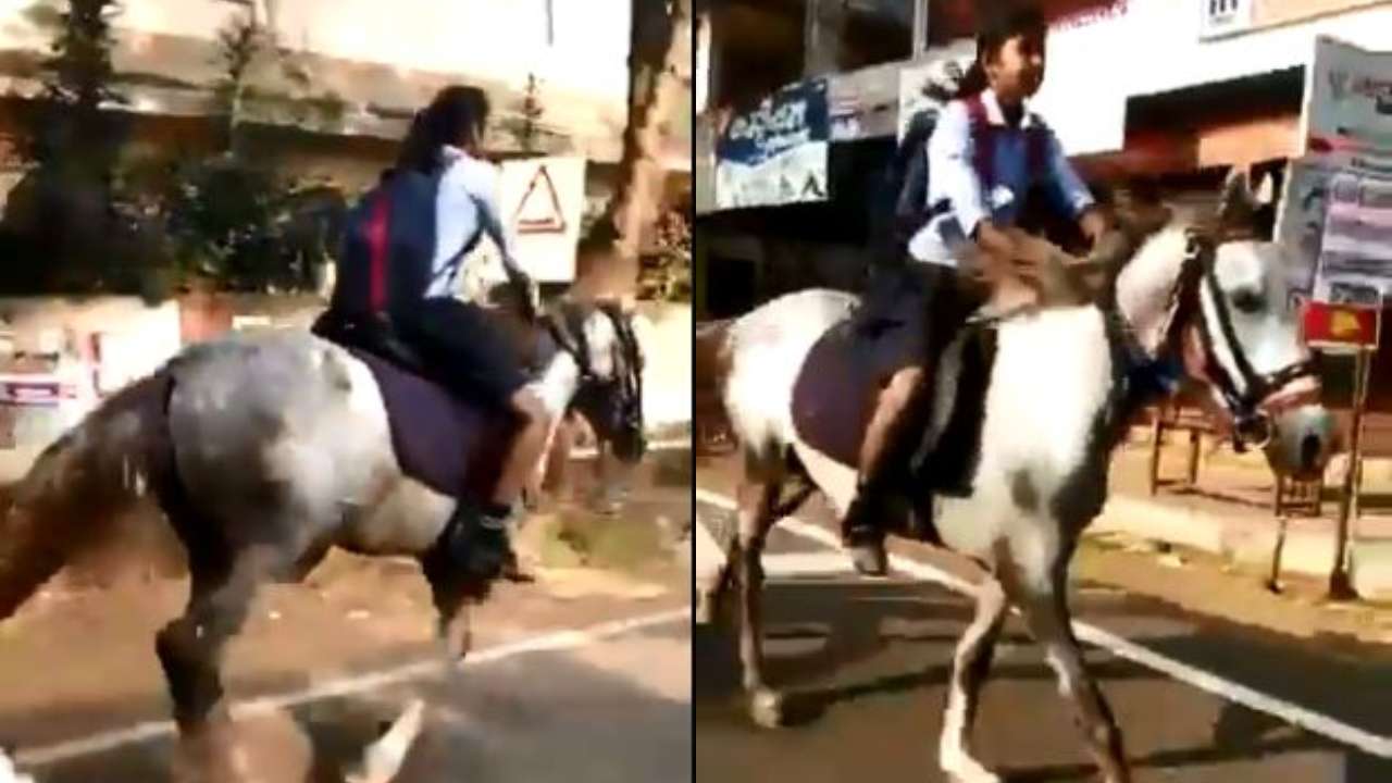 School Girl And Horse Xxx Video - She's my hero': Anand Mahindra praises class X girl who rides horse to  reach exam