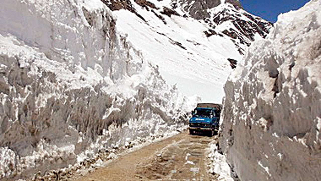 Zojila