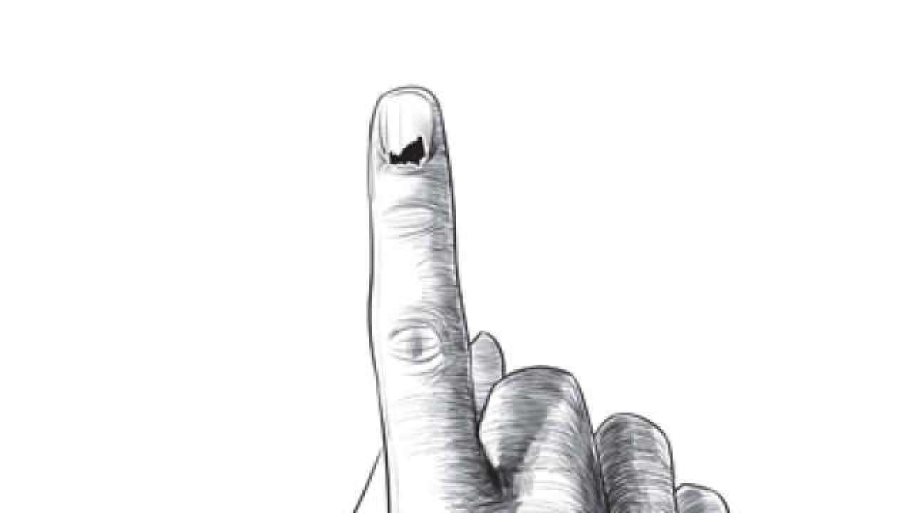 Lok Sabha election 2019 (Representational image)