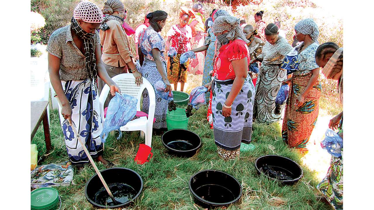 dye-makers