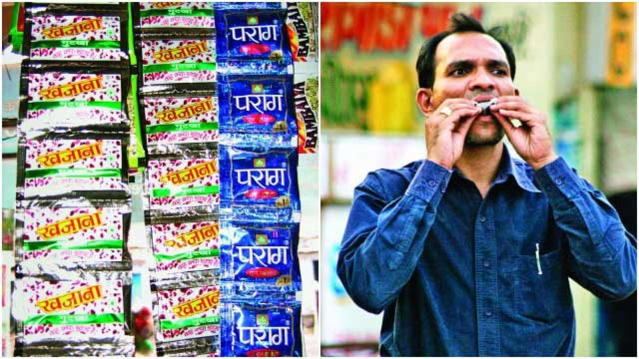 Delhi govt extends ban on manufacture, sale of gutkha, pan masala, tobacco  products for one year