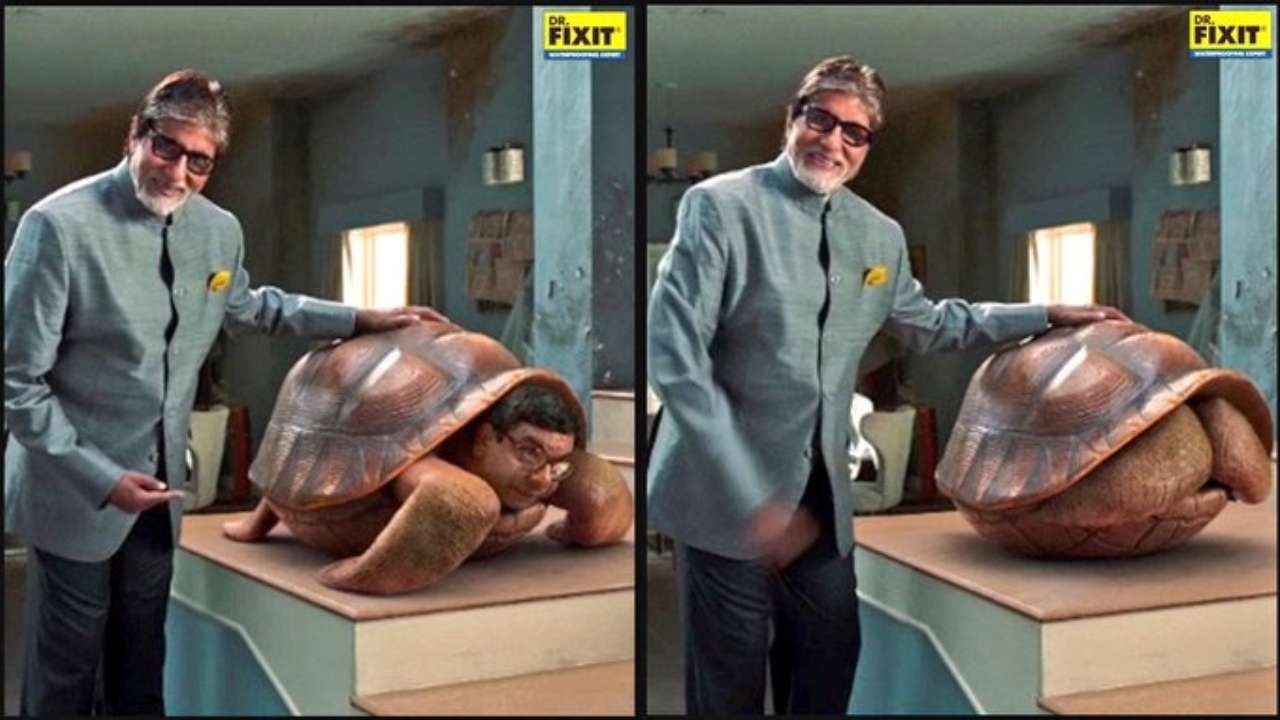 Viral This Amitabh Bachchan And Turtle Tango Is The Meme We Need And Deserve