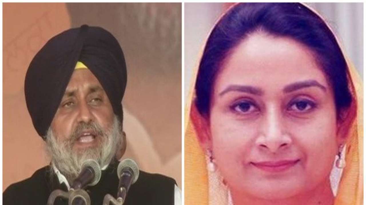 Sukhbir Singh Badal, Harsimrat Kaur slam Pitroda's remark on anti-Sikh ...