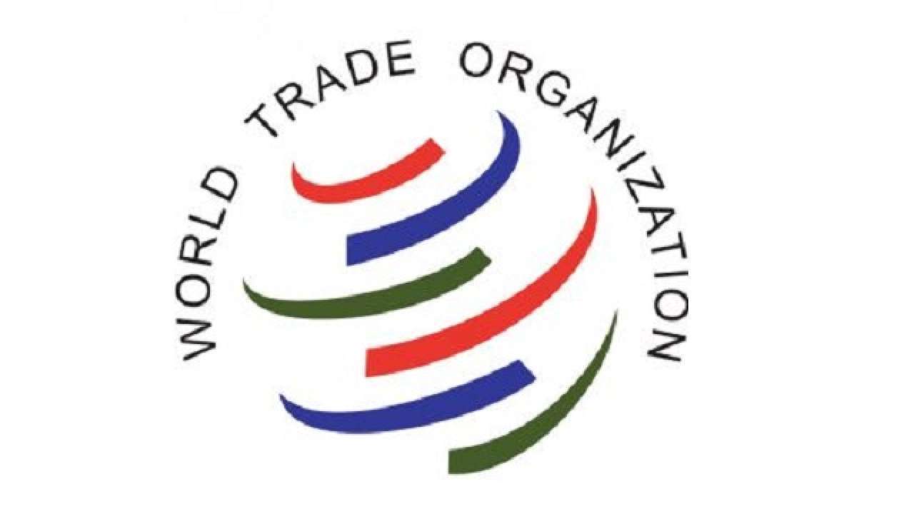 Collapse of WTO's dispute system, imbalance in reform agenda to impact developing nations: India