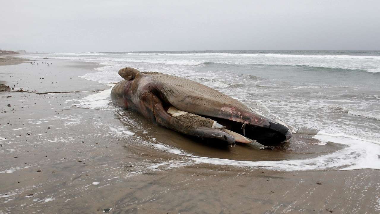 Photo: Reuters