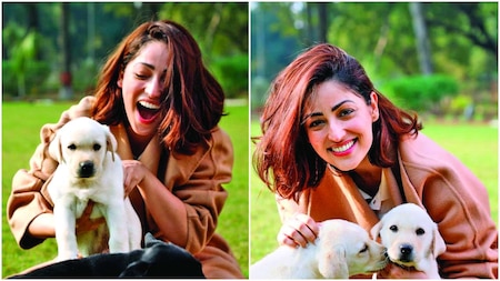 Yami Gautam promotes the cause of rescue dogs