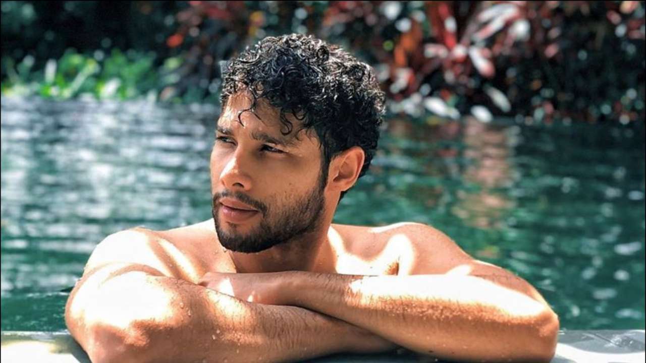 Image result for siddhant chaturvedi