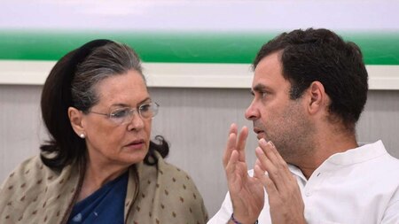 Leaders ask Sonia to dissuade Rahul