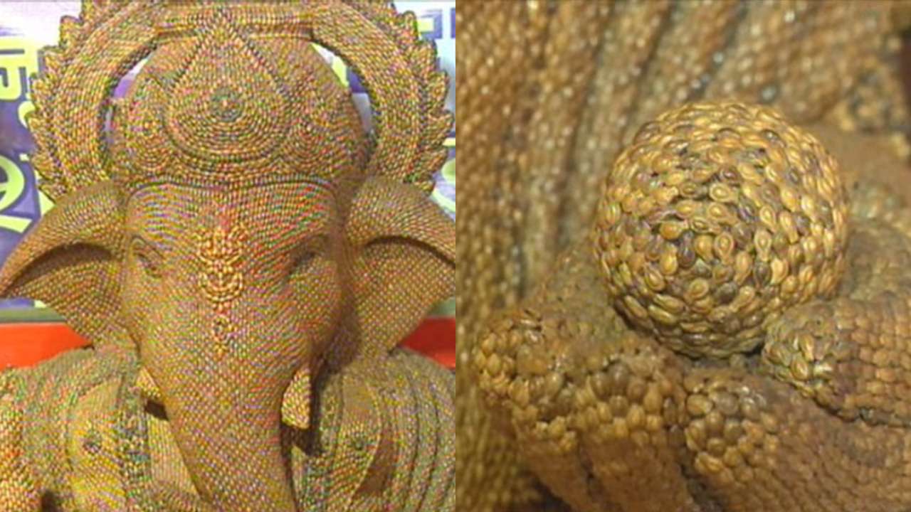 Shivlingi seeds are similar to Shivlingam