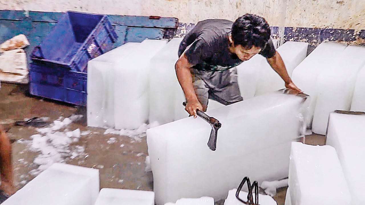 Food and Drug Administration destroys 18,000 kg of contaminated ice in Mumbai