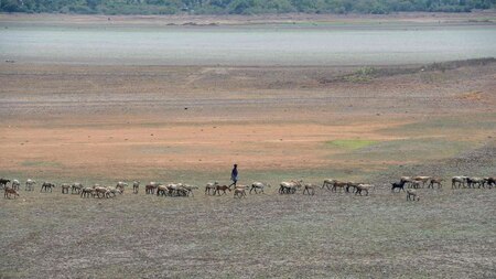 Reservoirs dry up