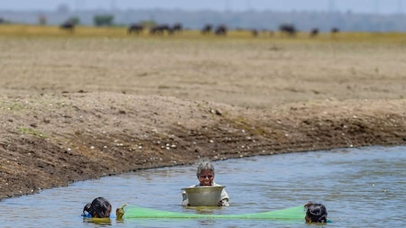 How water management by TN govt is responsible for crisis