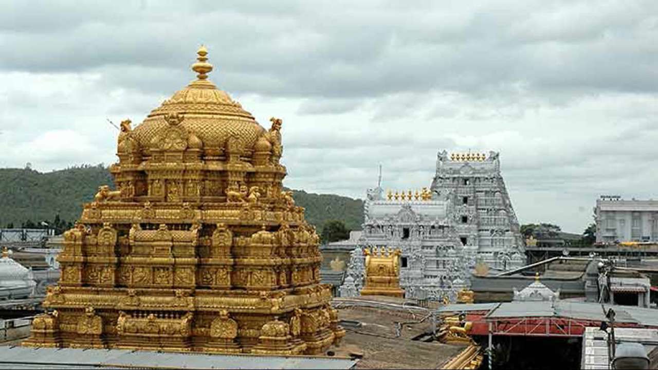 man-animal-conflict-rises-on-the-way-to-tirupati-officials-mull-action