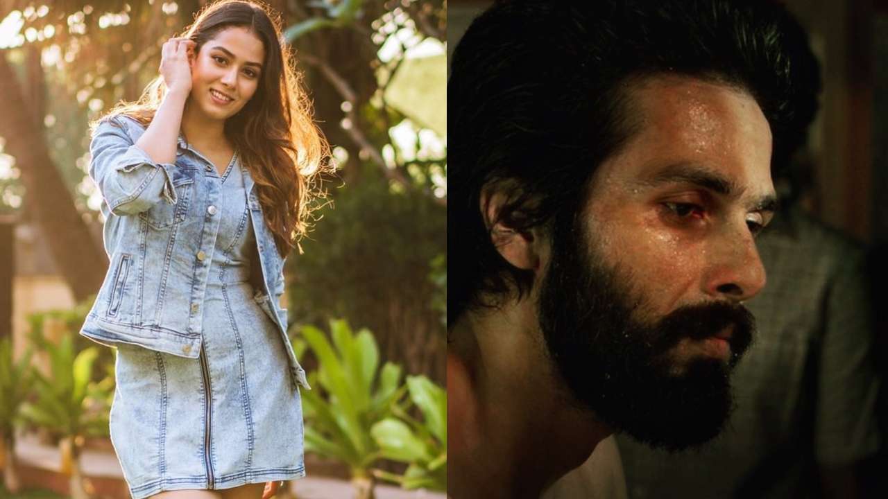 'It's your time to shine': Mira Rajput turns Shahid Kapoor's biggest cheerleader post 'Kabir Singh' release