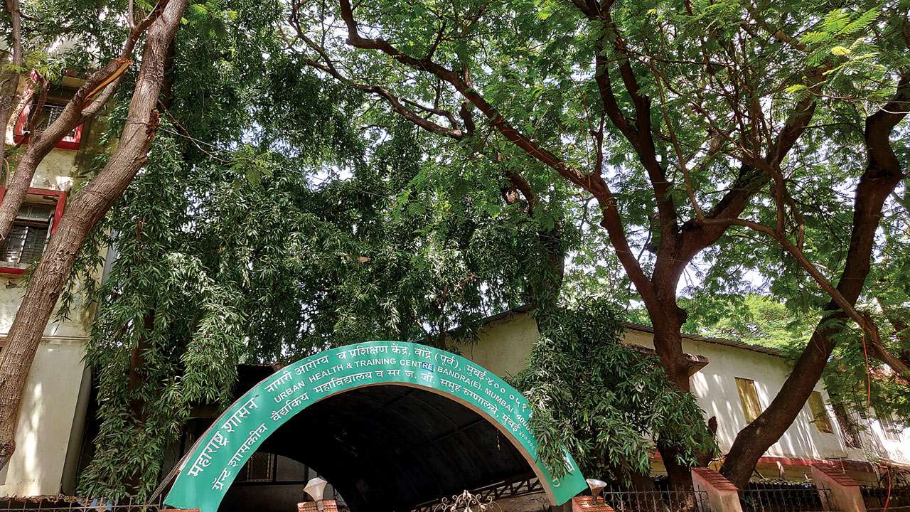 Mumbai: Tussle over trees