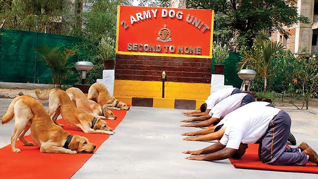 Indian army