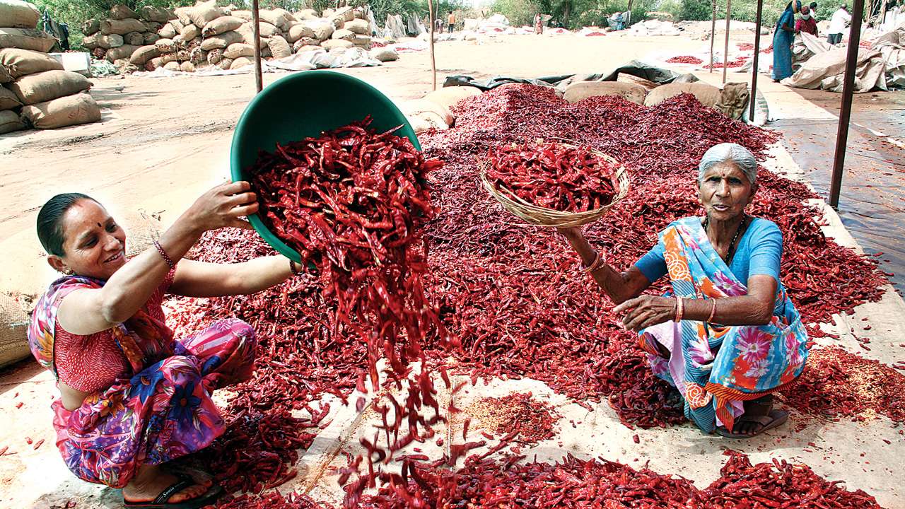 Red chilli