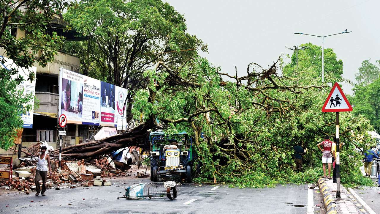 Rains wreaks havoc, uproots 183 trees in Ahmedabad