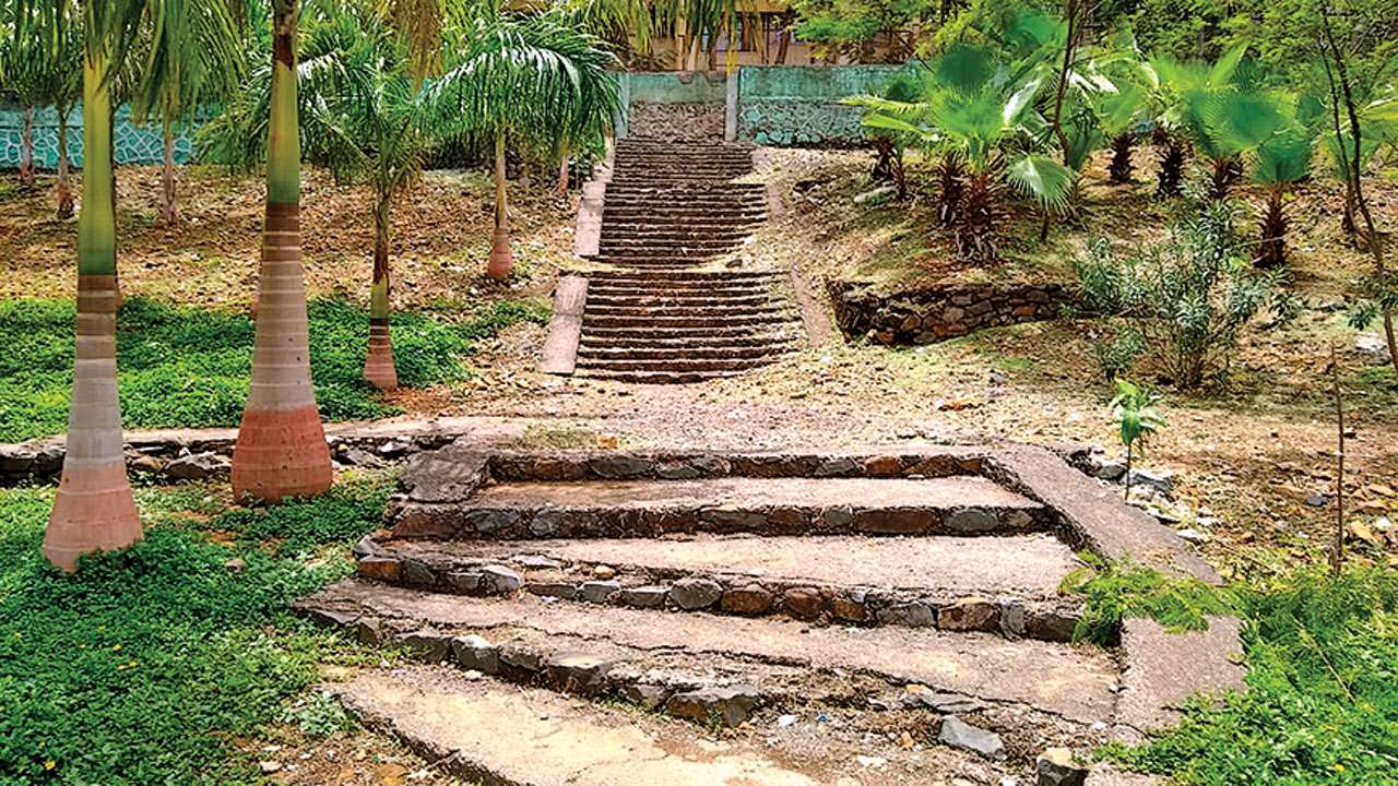 plantation 