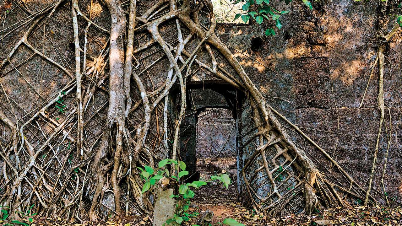 Yashwantgad fort