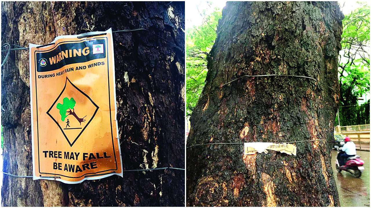 posters warning
