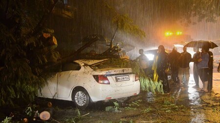 Car gets damaged after a tree falls on it in Navi Mumbai