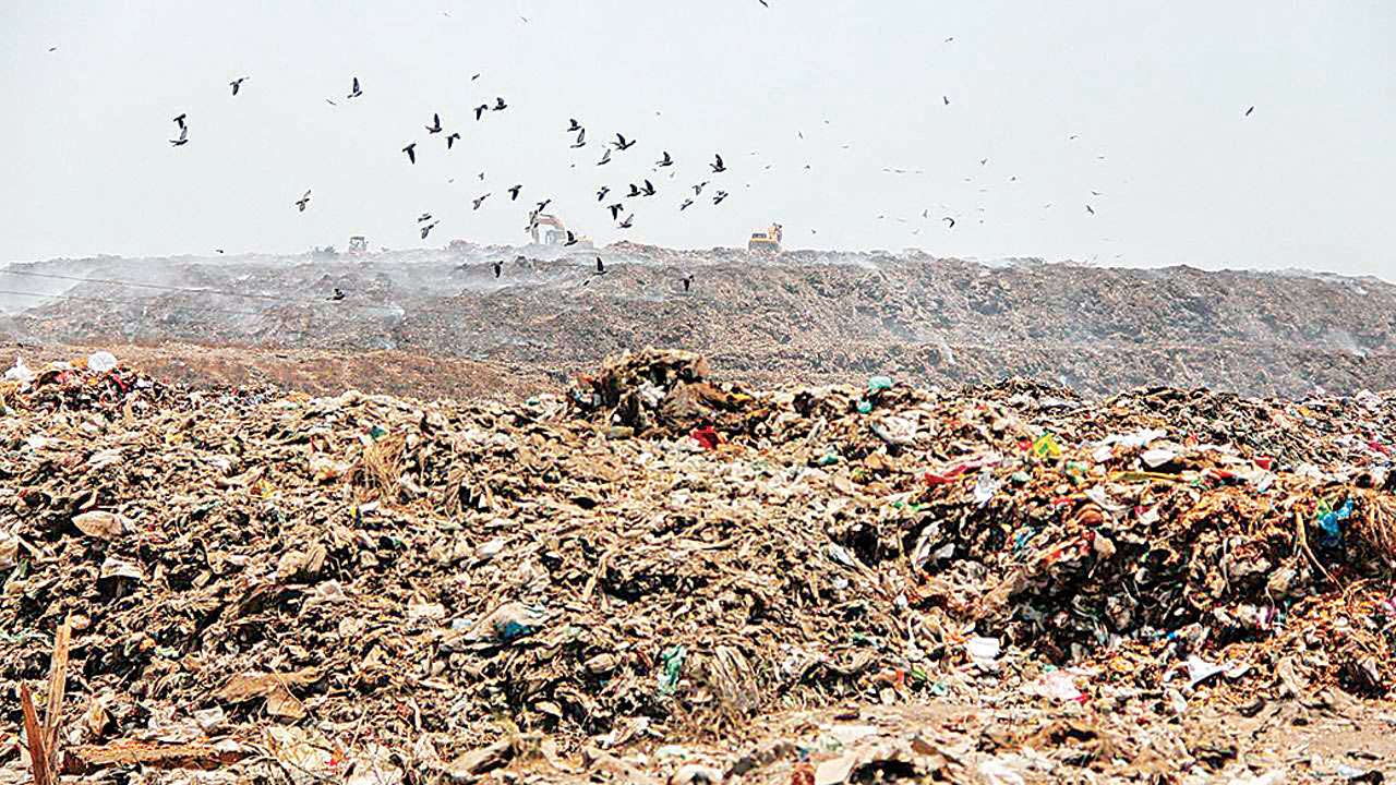 Pirana landfill site