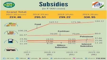 Budget 2019: Expenditure in subsidies