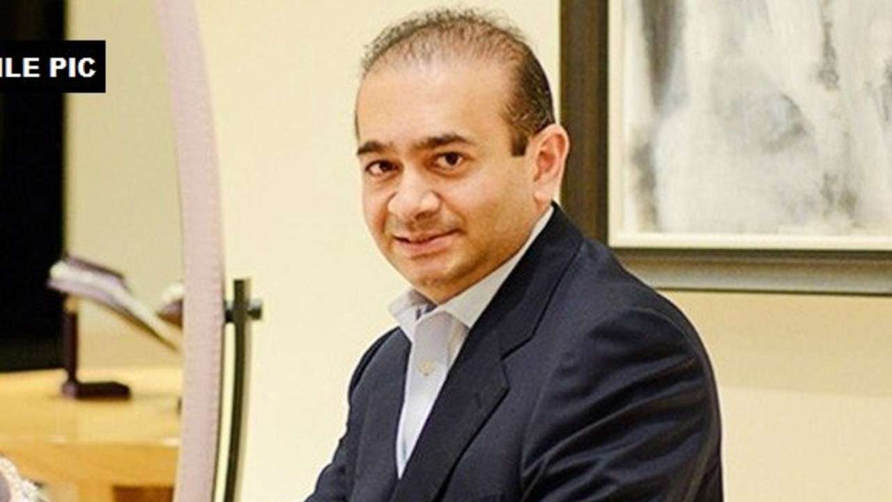 Debt recovery tribunal directs nirav modi, partners to pay over rs 7,200 cr plus interest