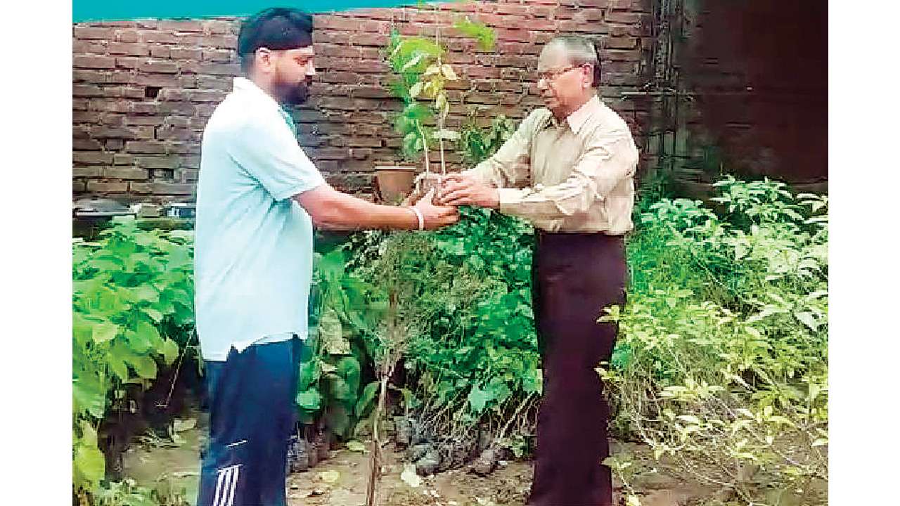 72-year-old ‘pedwale baba’ vows to make madhya pradesh greener