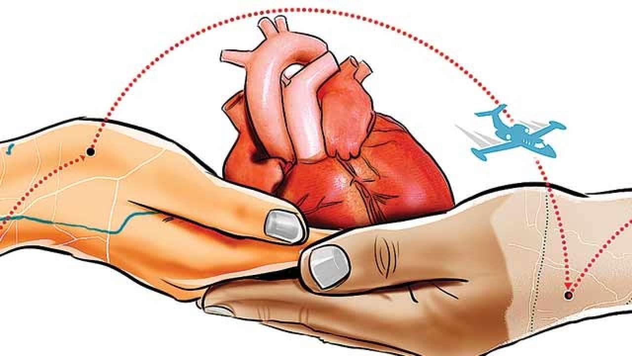 Organ donations