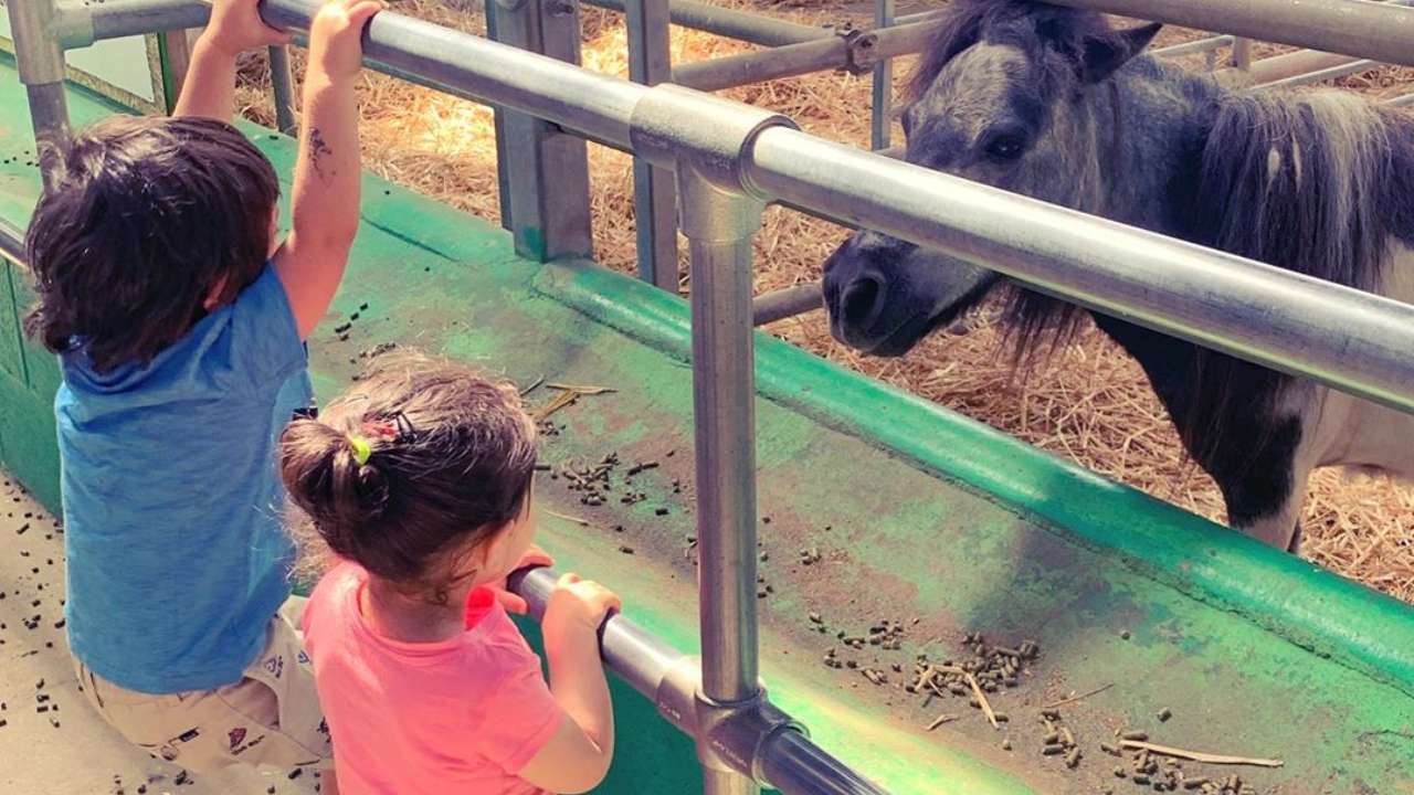 Taimur Ali Khan and Inaaya Naumi Kemmu's love for animals can be seen in this cute candid photo