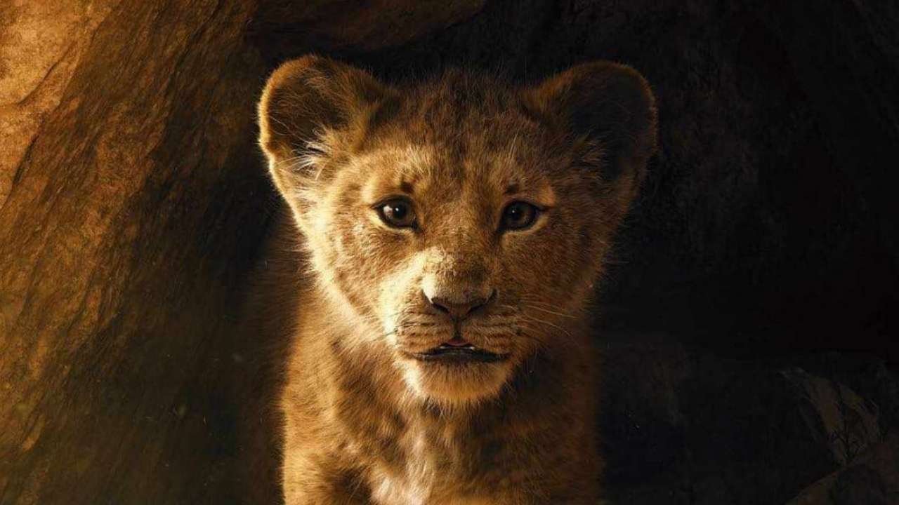 'The Lion King' Box Office Report Day 5: Live-in action film steady, touching Rs 70 crore mark