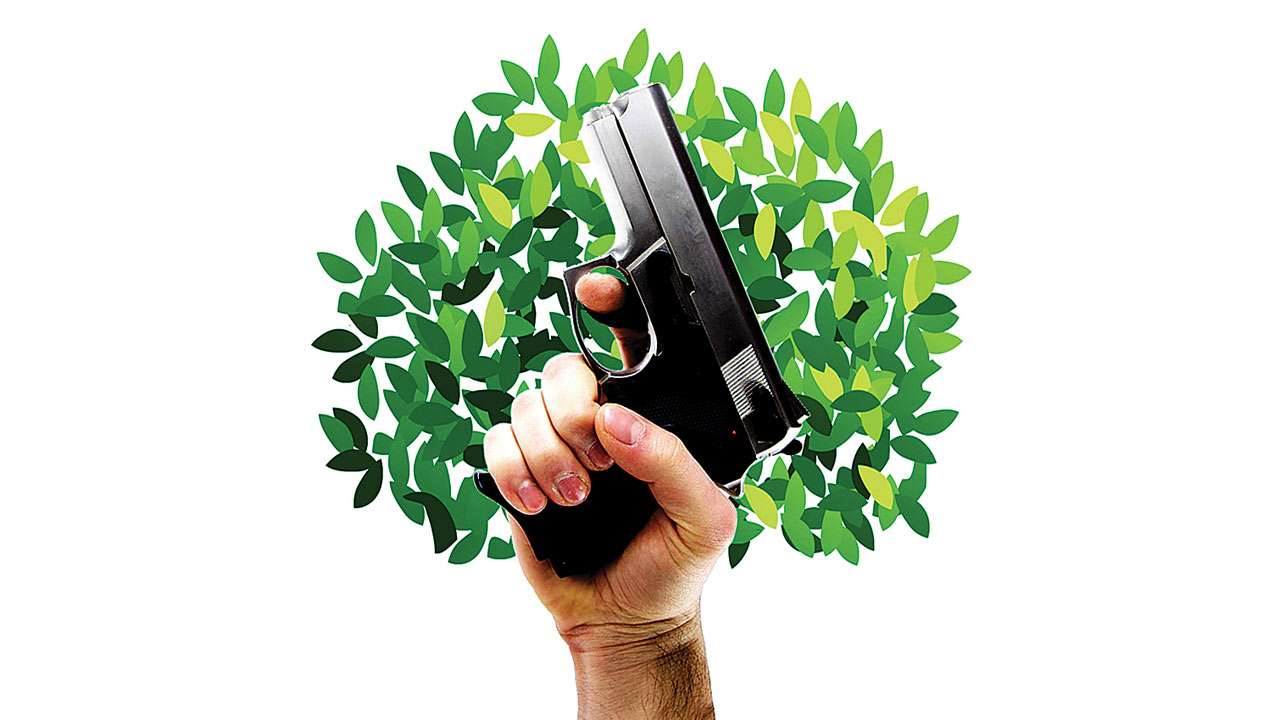 Plant 10 trees to 'grow' gun licences in Ferozepur