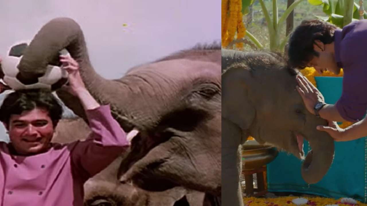 Elephant - Haathi Mere Saathi and Junglee