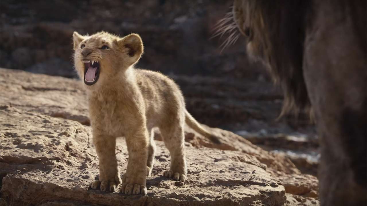 The Lion King' Box Office: action film now a in third weekend, nearing 150 crore