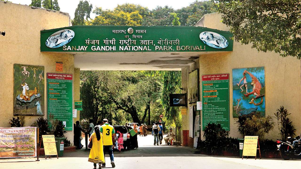 Image result for image of sanjay gandhi national park