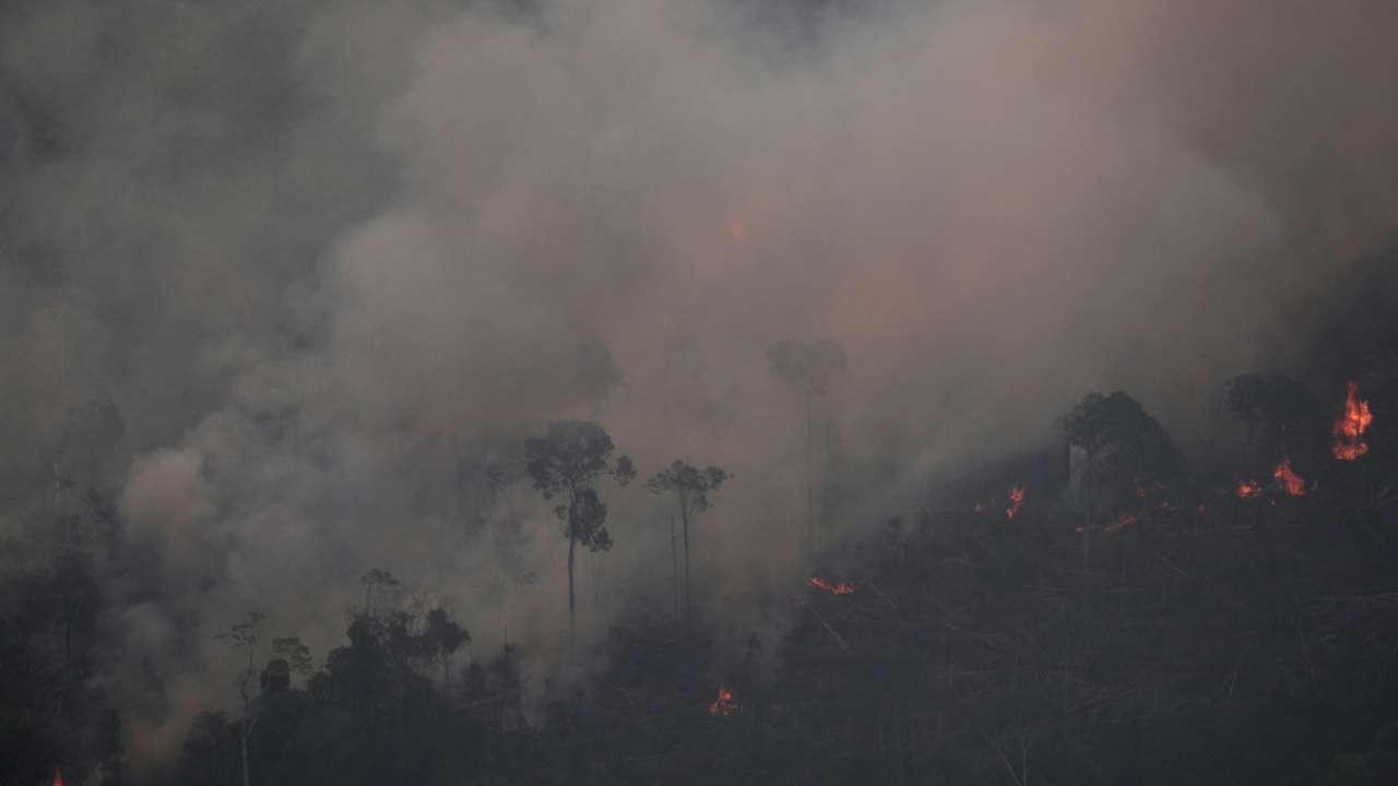 The sky never goes dark while the Amazon burns