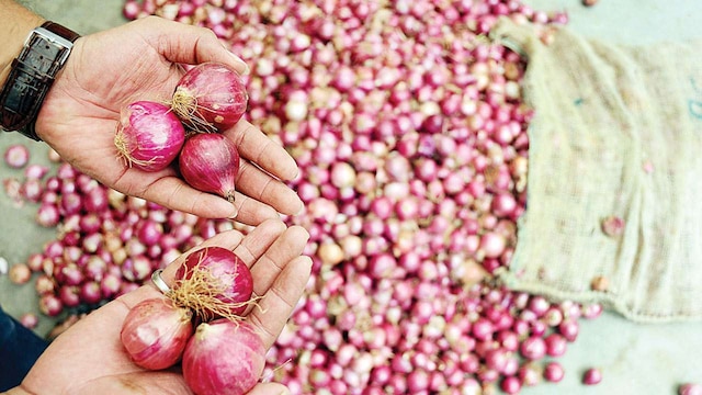 Maharashtra: Rainfall makes onion prices rise to Rs 50/kg