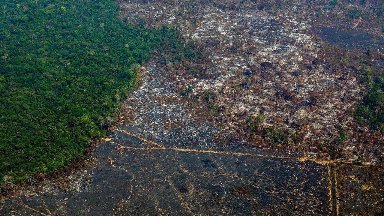 Brazilian President To Discuss Amazon Fire Issue With Other South American Countries